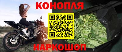стаф Ливны
