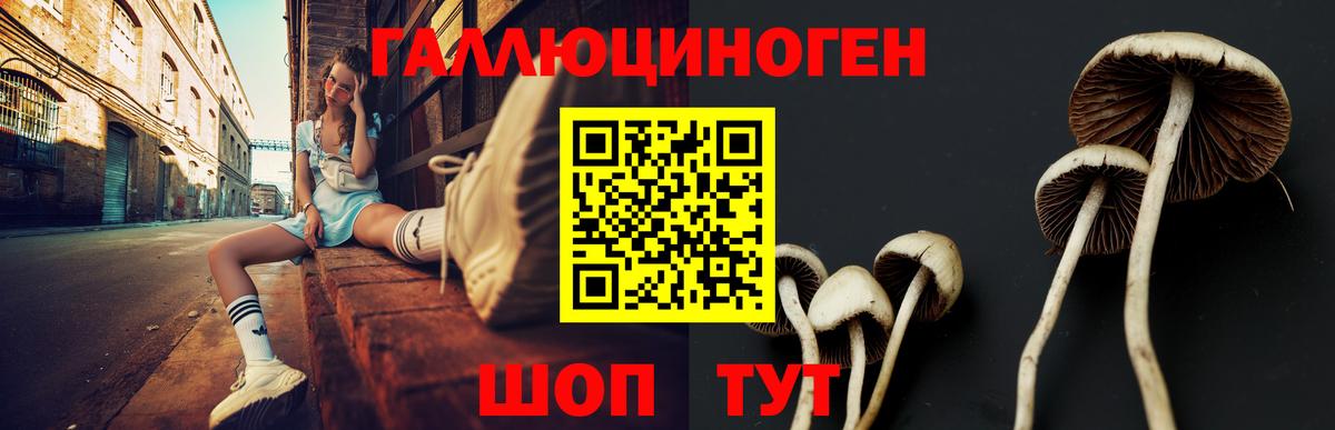 Псилоцибиновые грибы Psilocybe Екатеринбург
